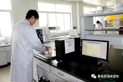 新區(qū)這家企業(yè)獲批2017年度國家地方聯(lián)合工程研究中心